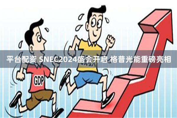 平台配资 SNEC2024盛会开启 格普光能重磅亮相