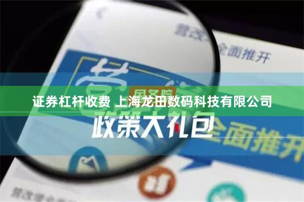 证券杠杆收费 上海龙田数码科技有限公司