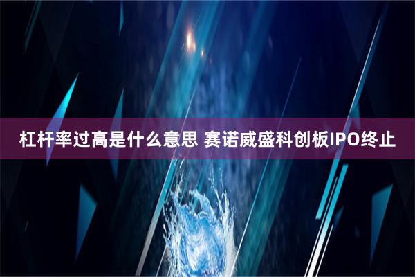 杠杆率过高是什么意思 赛诺威盛科创板IPO终止