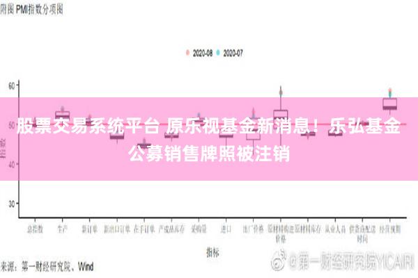 股票交易系统平台 原乐视基金新消息！乐弘基金公募销售牌照被注销