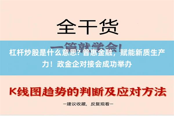 杠杆炒股是什么意思? 普惠金融，赋能新质生产力！政金企对接会成功举办