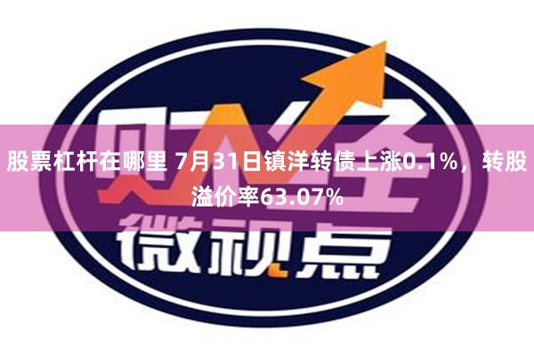 股票杠杆在哪里 7月31日镇洋转债上涨0.1%，转股溢价率63.07%