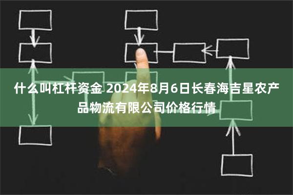 什么叫杠杆资金 2024年8月6日长春海吉星农产品物流有限公司价格行情