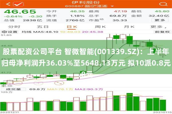 股票配资公司平台 智微智能(001339.SZ)：上半年归母净利润升36.03%至5648.13万元 拟10派0.8元