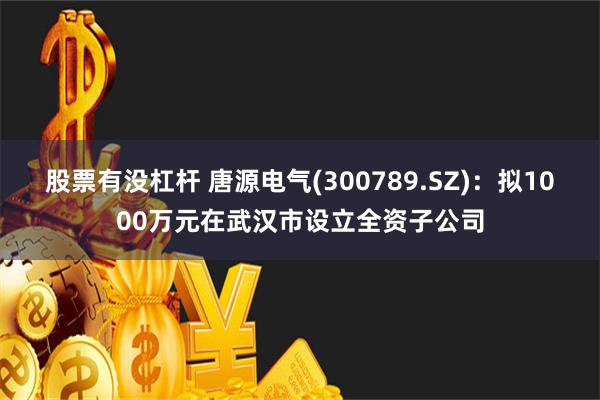 股票有没杠杆 唐源电气(300789.SZ)：拟1000万元在武汉市设立全资子公司