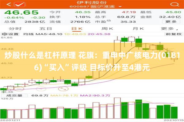 炒股什么是杠杆原理 花旗：重申中广核电力(01816)“买入”评级 目标价升至4港元