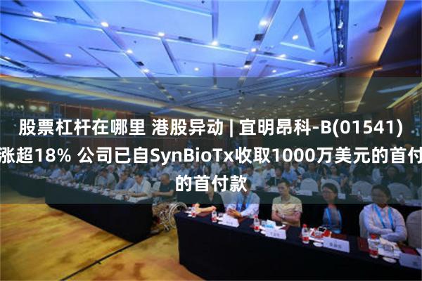 股票杠杆在哪里 港股异动 | 宜明昂科-B(01541)现涨超18% 公司已自SynBioTx收取1000万美元的首付款