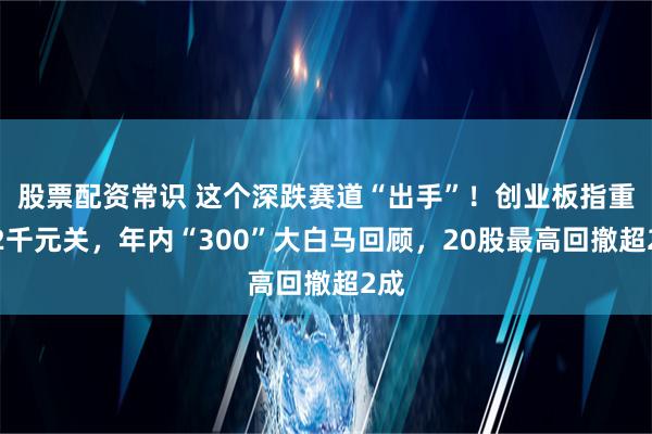 股票配资常识 这个深跌赛道“出手”！创业板指重夺2千元关，年内“300”大白马回顾，20股最高回撤超2成