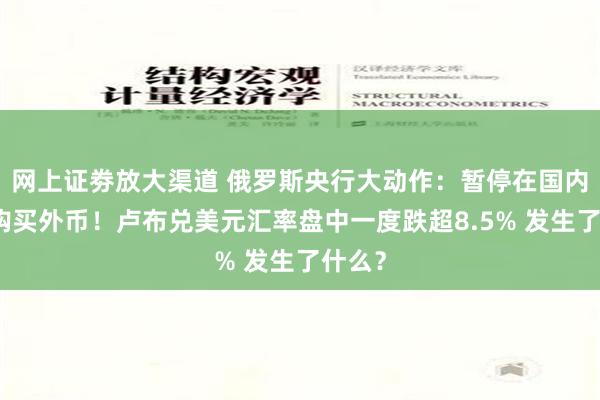 网上证劵放大渠道 俄罗斯央行大动作：暂停在国内市场购买外币！卢布兑美元汇率盘中一度跌超8.5% 发生了什么？