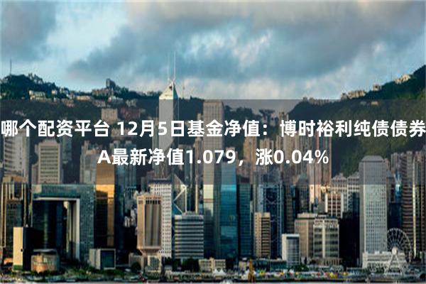 哪个配资平台 12月5日基金净值：博时裕利纯债债券A最新净值1.079，涨0.04%