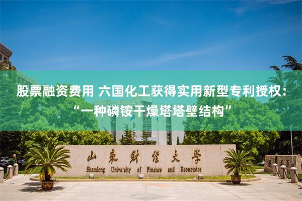 股票融资费用 六国化工获得实用新型专利授权：“一种磷铵干燥塔塔壁结构”