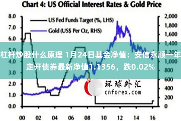 杠杆炒股什么原理 1月24日基金净值：安信永顺一年定开债券最新净值1.1356，跌0.02%